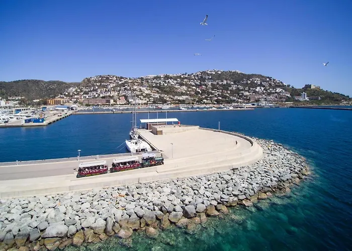 Llevant 3 1 Centro - Barneda Premium Roses